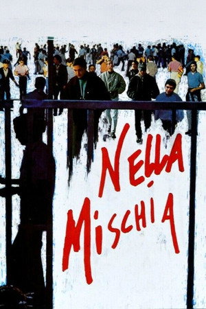 Nella mischia 7