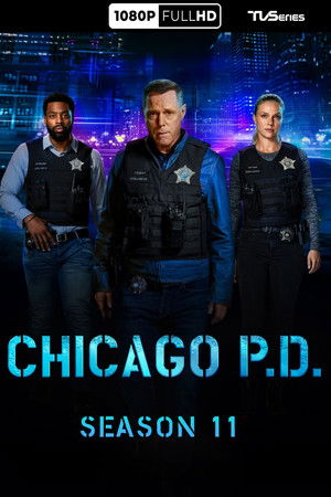 Chicago P.D.: Seizoen 11