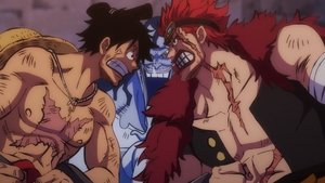 One Piece: Season 21 Episode 924