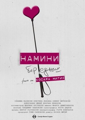 Poster Намини бар еднаш 2013
