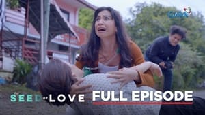 The Seed of Love: Season 1 Full Episode 24