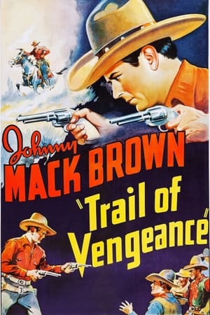 Poster di Trail of Vengeance