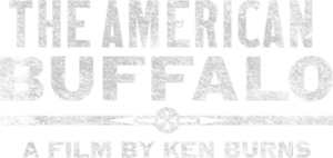 The American Buffalo — Logos 3