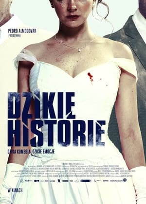 Poster Dzikie historie 2014