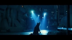 Images posters