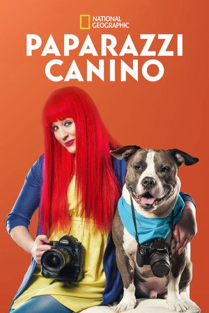 Paparazzi Canino