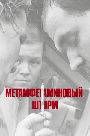 Poster Метамфетаминовый шторм 2017