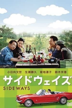 Poster 杯酒人生 2009