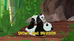 Wild Kratts Snowy Owl Invasion