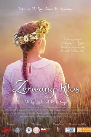 Zerwany kłos 2017