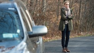 Homeland: A belső ellenség 6. évad 7. rész