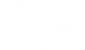 D_Cide Traumerei the Animation — Logos 2