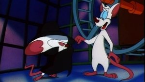 Pinky i Mózg: 1×4