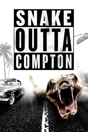 Poster Snake Outta Compton 2018