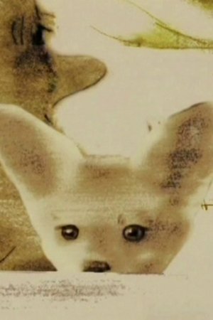 Intrusion (2005)