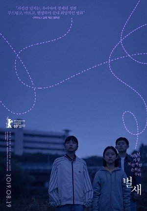 House of hummingbird (2019)