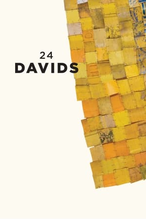 24 Davids film complet