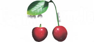 L'anima gemella — Logos 1