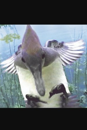 Ride of the Mergansers