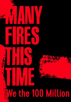 Poster Many Fires This Time: We the 100 Million (2021)