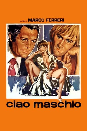 Poster Ciao maschio 1978