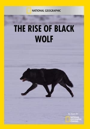 Poster The Rise of Black Wolf (2010)