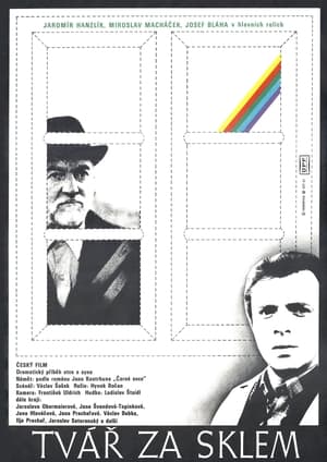 Poster Tvář za sklem 1979