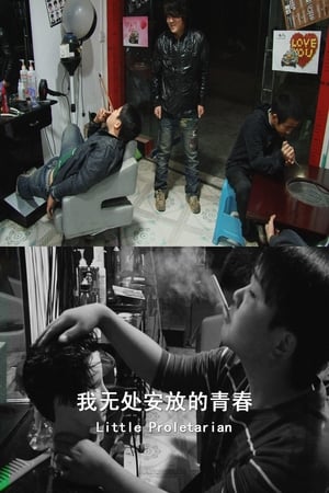 Poster 我无处安放的青春 2012