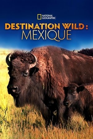 Image Destination Wild : Mexique