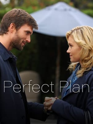 Perfect Plan poster