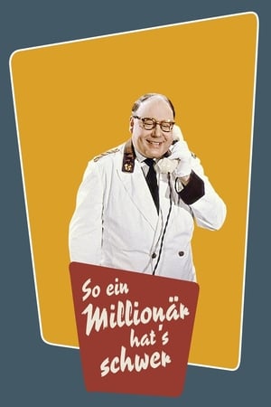 So ein Millionär hat's schwer poster