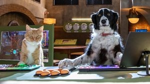 Cats & Dogs 3: Paws Unite (2020) English Movie Download & Watch Online Blu-Ray 720P & 1080P