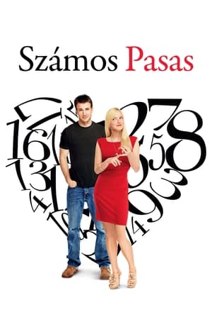 Poster Számos pasas 2011