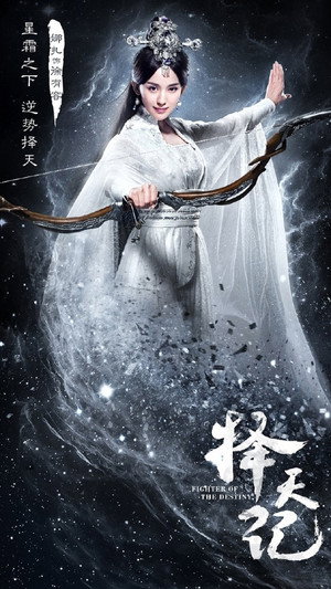 Fighter of the Destiny 13
