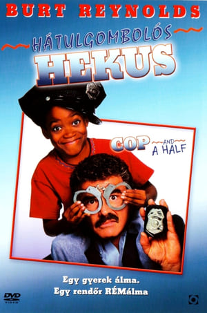 Poster Hátulgombolós hekus 1993