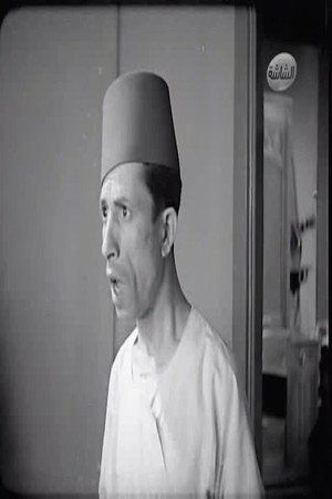 إبراهيم عرفه portrait