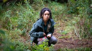 El Lago Un nuevo comienzo: 2×7 – Temporada 2 Episodio 7