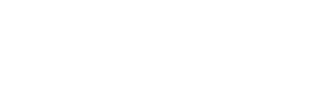 The Super Mario Bros. Movie