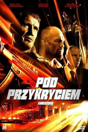 Poster Pod Przykryciem 2013