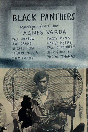 Black Panthers 11