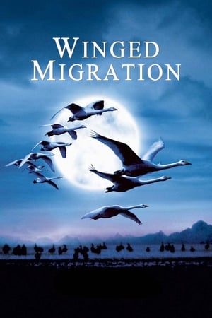 Poster Winged Migration 2001