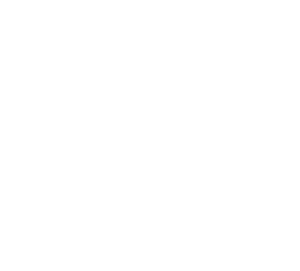 신인감독 김연경 — Logos 1