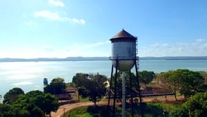 Abandoned Engineering America's Jungle City