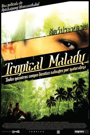 Tropical Malady