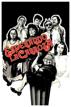 Click for trailer, plot details and rating of Esperando La Carroza (1985)