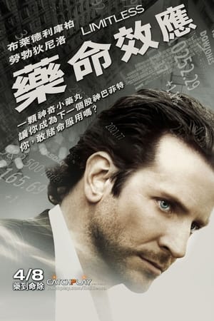 Poster 永无止境 2011