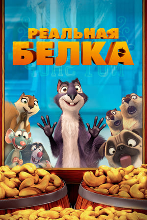 Poster Реальная белка 2014