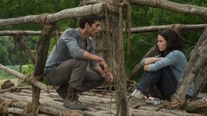 Maze Runner Correr o Morir Película Completa HD 1080p [MEGA] [LATINO]