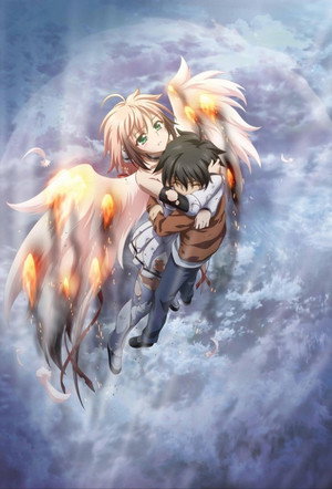 Heaven's Lost Property: Collection