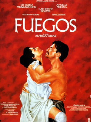 Poster Fuegos 1987